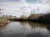 dommel20230415