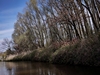 dommel20230415