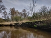 dommel20230415