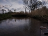 dommel20230415