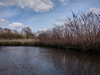 dommel20230415