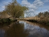 dommel20230415