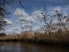 dommel20230415