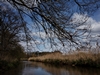 dommel20230415