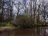dommel20230415