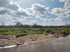 dommel20230415