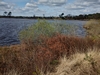 dommel20230415