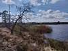 dommel20230415