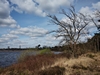 dommel20230415