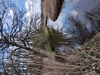 dommel20230415