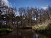 dommel20230415