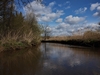 dommel20230415