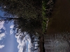 dommel20230415