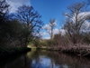 dommel20230415