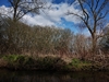 dommel20230415