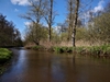 dommel20230415