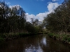 dommel20230415