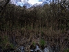 dommel20230415