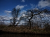 dommel20230415