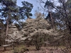 keersop20230417
