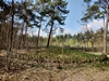keersop20230417