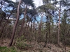 keersop20230418