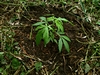 erste hennebos 20230515