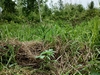 erste hennebos 20230515