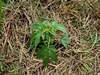 erste hennebos 20230515