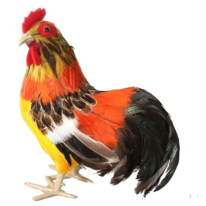 neppe haan