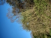 keersop20230419