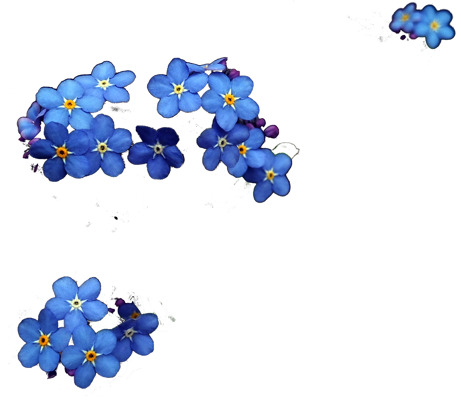 blauw