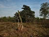 keersop20230430