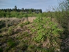 keersop20230430