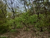 keeersop20230501