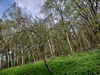 keeersop20230501