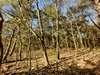 keersopIMG_20230503