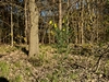 keersopIMG_20230503