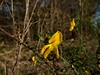 keersopIMG_20230503