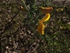 keersopIMG_20230503