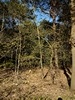 keersopIMG_20230503