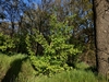 keersopIMG_20230503