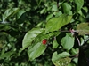 keersopIMG_20230503