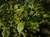 keersopIMG_20230503