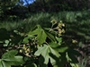 keersopIMG_20230503