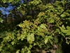 keersopIMG_20230503