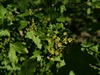 keersopIMG_20230503