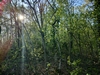 keersopIMG_20230503