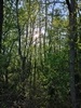 keersopIMG_20230503