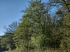 keersopIMG_20230503
